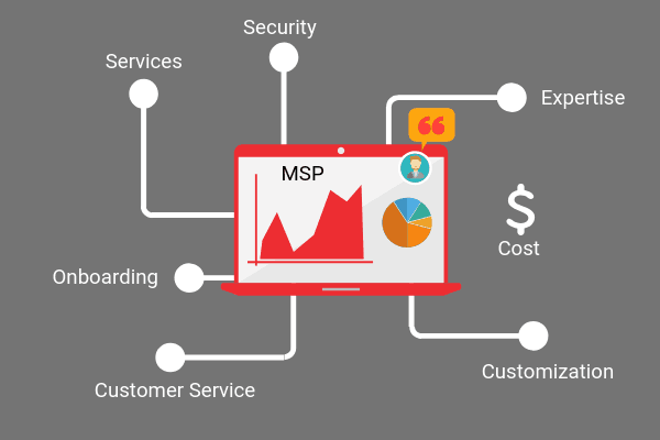 What does an MSP do?