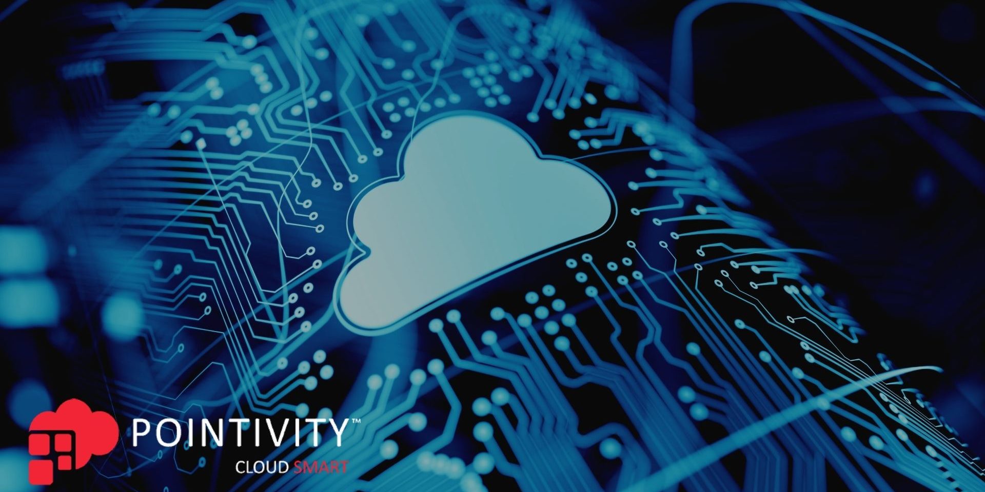 cloud services provider (1) Cloud Managed Service Provider