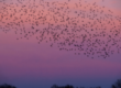 azure migration guide